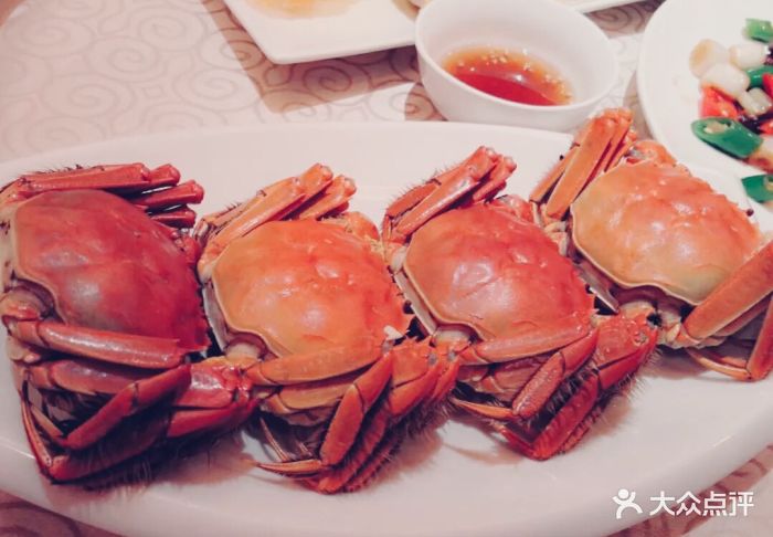 海派美食(时代店)-图片-青岛美食-大众点评网