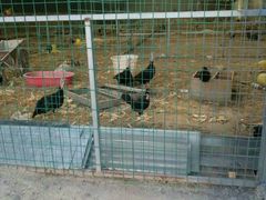 -上海市龙华烈士陵园