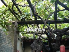 -康百万庄园