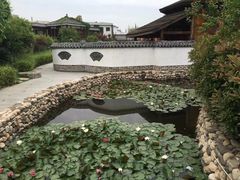-观唐（国际）度假村温泉