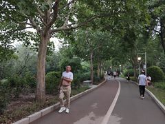 -滨河世纪广场公园