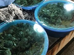 -浦商菜市场·锦德店