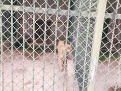 -宿豫区运河湾森林动物园