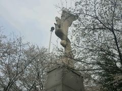 -武汉大学-樱园