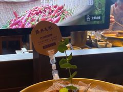 -巴奴毛肚火锅(广益哥伦布店)