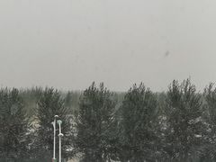 -国强手抓(西夏区店)