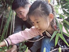 -帐篷客·溪龙茶谷度假酒店