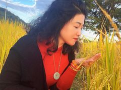 -艾米稻香小镇