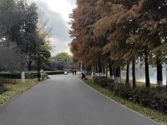 -石湖景区