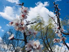 -永定河休闲森林公园