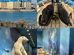 -老大连·海肠捞饭·大连海鲜大连菜(西安路店)