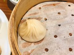 金牌鲜肉小笼-苏小柳手作点心(控江旭辉分院)