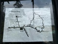 -霍顿平原国家公园