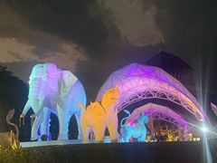 -清迈夜间动物园