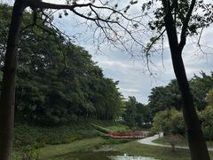 -东莞植物园