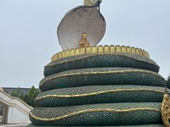 -洛阳白马寺