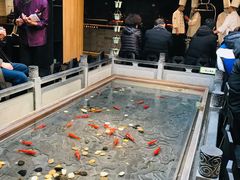 -四季民福烤鸭店(前门店)