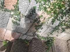 -河坊街景区