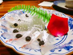 -KITON喜豚(清晖园店)