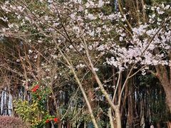 -梁鸿国家湿地公园