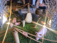 大堂-纳福苑(亮庆餐饮分店)