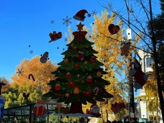 -索菲特西湖大酒店·香榭丽全日候餐厅(南山路店)