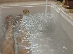 -上虞天玥大酒店