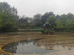-重庆彩云湖湿地公园