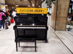 -戴高乐机场火车站