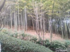 -峙山公园