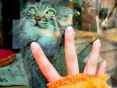 -青藏高原野生动物园