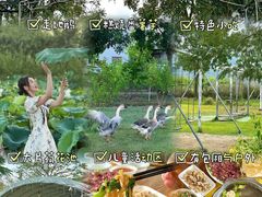 -车头老二大排档