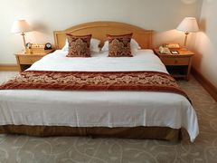 -南京维景国际大酒店(南京博物院店)