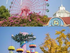 -南湖梦幻岛