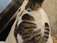 -铜瓢江湖兔火锅(水碾河社区店)