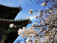 -鸡鸣寺