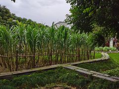 -鹅滋道(甘坑古镇店)