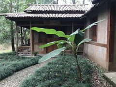 -兰亭风景区