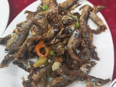 -蛇口康乐快餐鱼仔档(翠苑小区店)