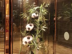 -成都保利公园皇冠假日酒店(熊猫基地店)