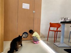 -麦当劳(济泺路店)