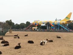 -苏州太湖西山岛开心农场