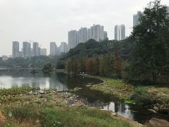 -重庆彩云湖湿地公园