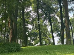 -云溪植物园