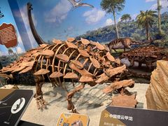-浙江自然博物院(杭州馆)