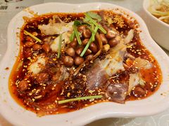 -陈麻婆豆腐总店
