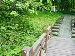 -桤木河湿地公园