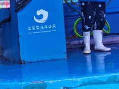-石家庄海洋公园
