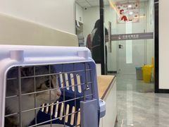 -贝康宠物医院·犬猫全科·小动物特色诊疗中心(东环路店)