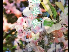 -温江公园